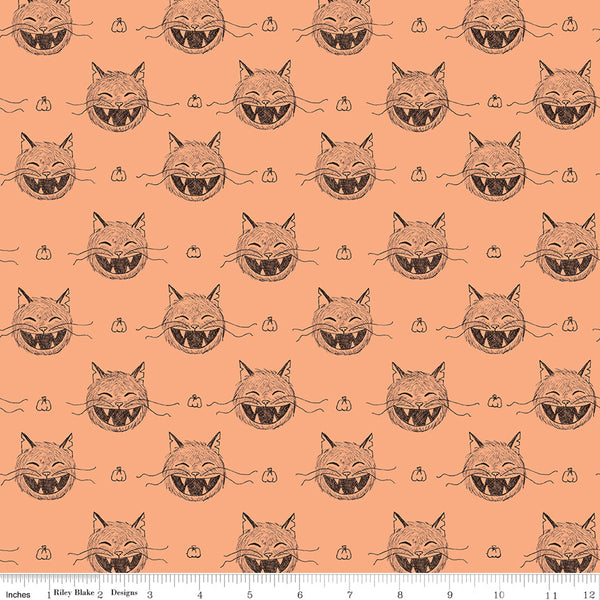 Scaredy Cat Heads in Light Orange by Amanda Niederhauser C9411-LtOrange