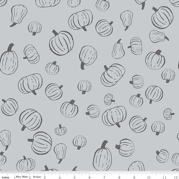 Scaredy Cat PumpkinPatch in Gray by Amanda Niederhauser C9412-Gray