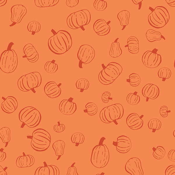 Scaredy Cat PumpkinPatch in Orange by Amanda Niederhauser C9412-ORANGE