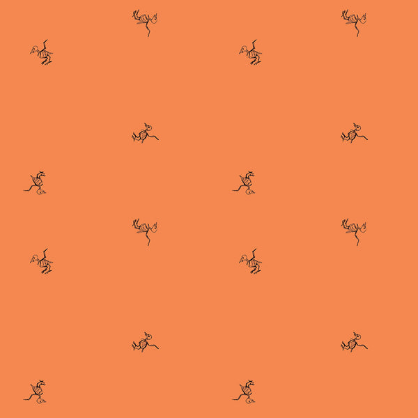 Scaredy Cat BirdBones in Orange by Amanda Niederhauser C9414-ORANGE