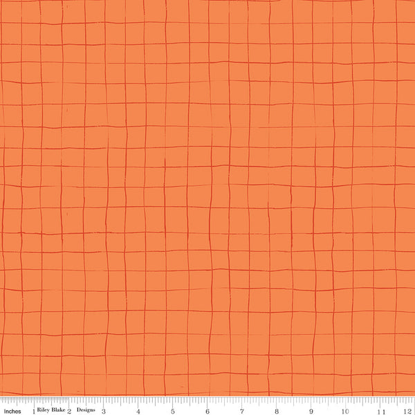 Scaredy Cat Grid in Orange by Amanda Niederhauser C9416-Orange