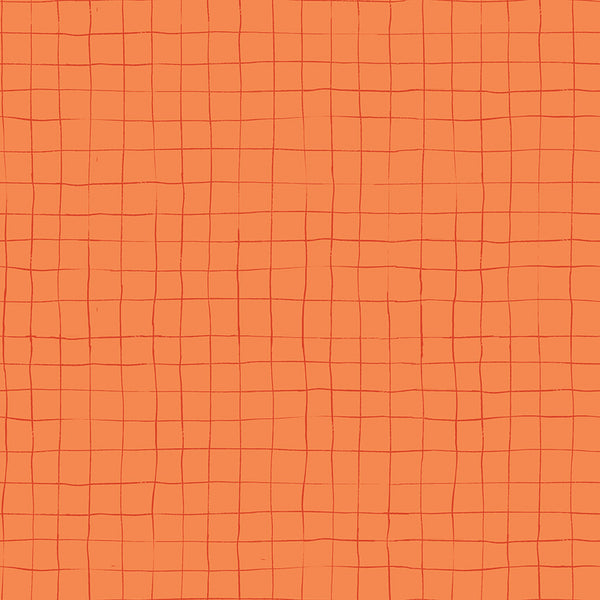 Scaredy Cat Grid in Orange by Amanda Niederhauser C9416-ORANGE