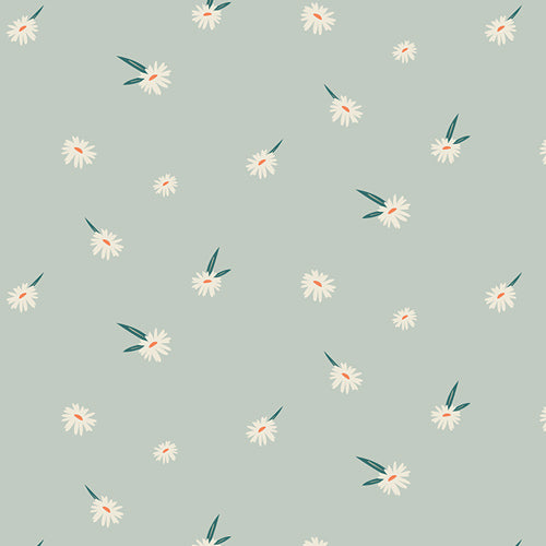 Dancing Daisies