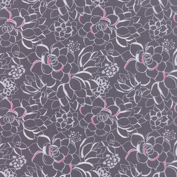 Canyon Succulent Moonlight on Grey by Kate Spain for Moda Fabrics