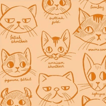 Caturday Catitude in Orange