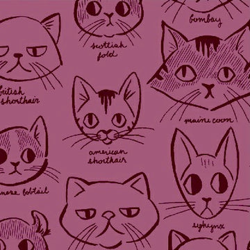 Caturday Catitude in Red Violet