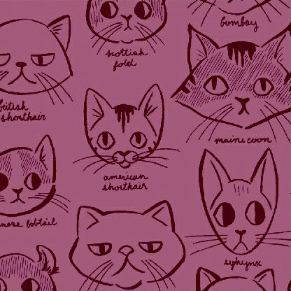 Caturday Catitude in Red Violet