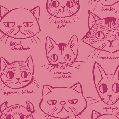 Caturday Catitude in Rose