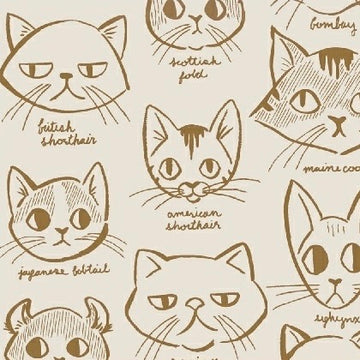 Caturday Catitude in Tan