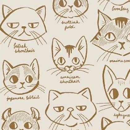 Caturday Catitude in Tan