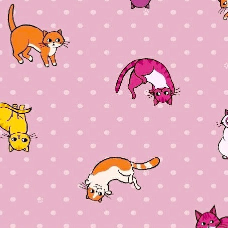 Caturday Kitty Toss on Rose