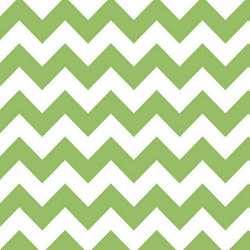 Medium Chevron in Green by Riley Blake Designs
