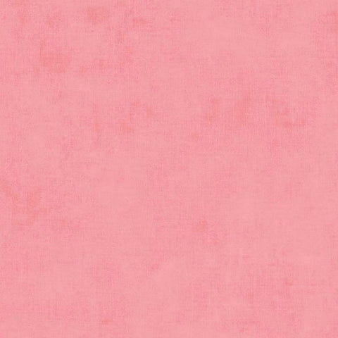 Cotton Shade color Shell