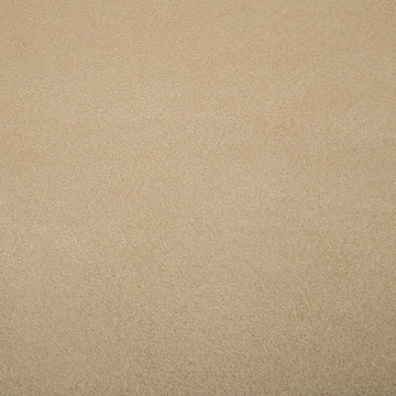 Cuddle Suede in Sand by Shannon Fabrics