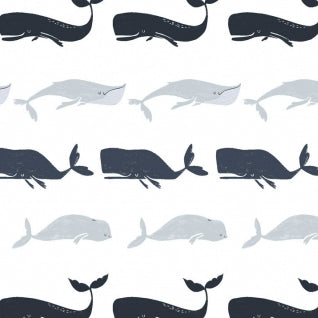 Into the Reef Whale Species on White by Dear Stella