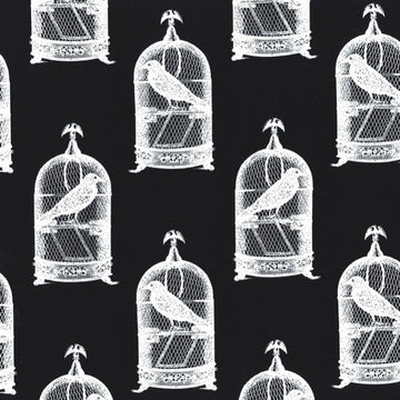 Jackclaws on Black by Michael Miller Fabrics