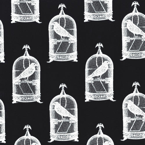 Jackclaws on Black by Michael Miller Fabrics