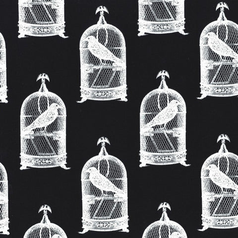 Jackclaws on Black by Michael Miller Fabrics