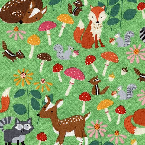 Lets Get Nutty by Timeless Treasures