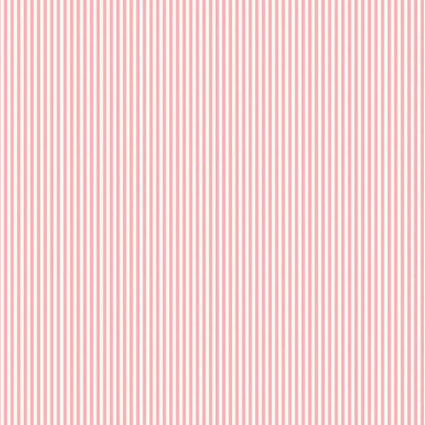 Lost and Found Stripe in Pink by Riley Blake Designs