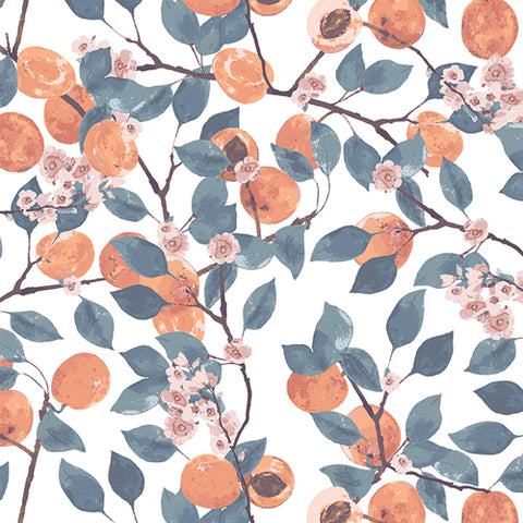 Mindscape Blossoming Apricots in Seashell by Katarina Roccella MDS63901