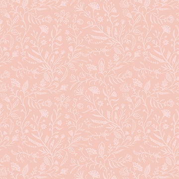 Mindscape Sensory Journey in Conch by Katarina Roccella MDS63905