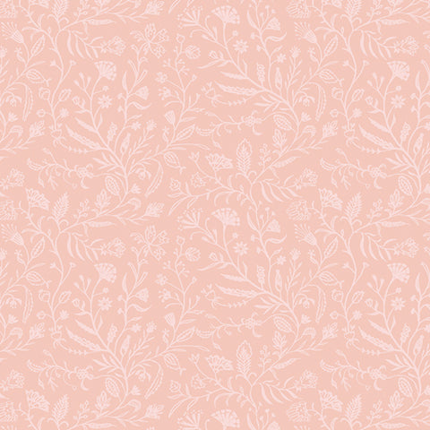 Mindscape Sensory Journey in Conch by Katarina Roccella MDS63905