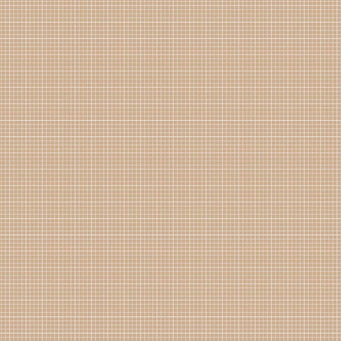 Modern Minis Graph Paper in Brown by Lori Holt for Riley Blake Designs
