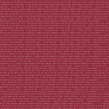 Modern Scouting Scout Words on Red by Riley Blake Designs