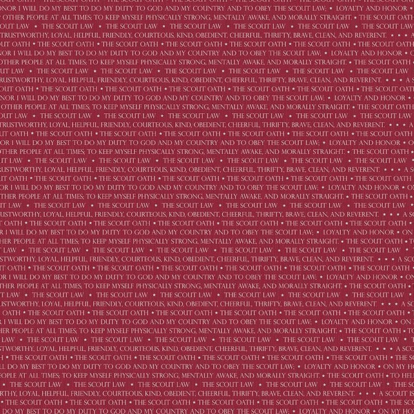 Modern Scouting Scout Words on Red by Riley Blake Designs