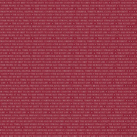 Modern Scouting Scout Words on Red by Riley Blake Designs