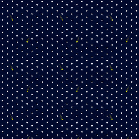 Monsters vs Robots Seeing Stars on Navy