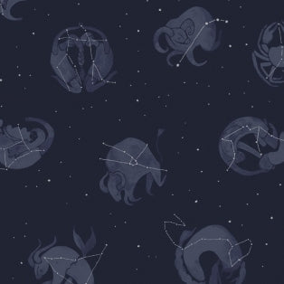 Moon Garden Constellations on Navy by Dear Stella