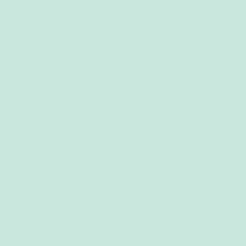 Pure Solids Solid in Icy Mint by Art Gallery Fabrics PE-451