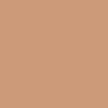 Pure Solids Solid in Toasty Walnut by Art Gallery Fabrics PE-458