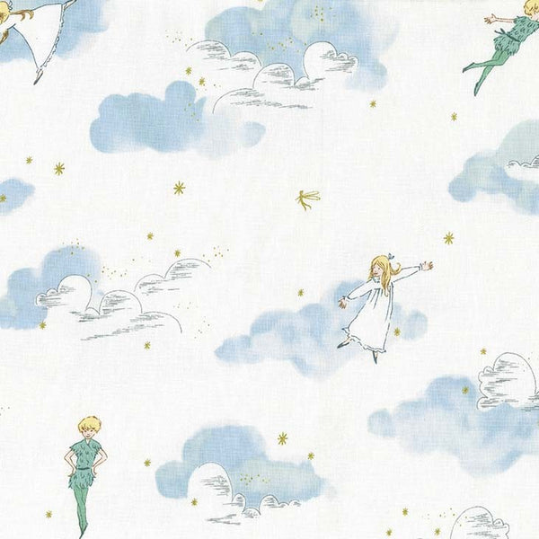 Peter Pan Peter and Wendy in Cloud