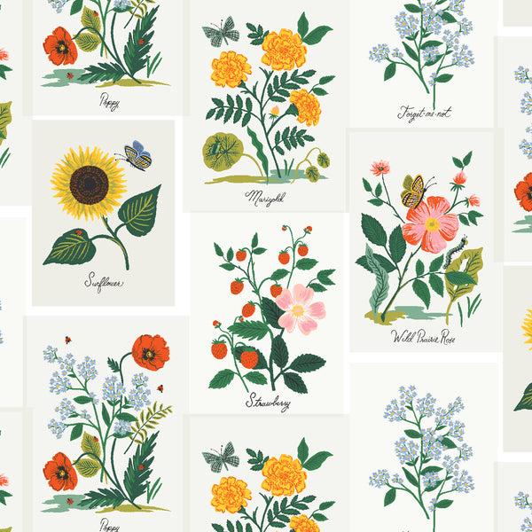 Curio Botanical Prints in Pink Multi by Rifle Paper Co RP1101-PM1