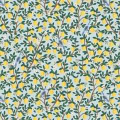 Camont by Rifle Paper Co