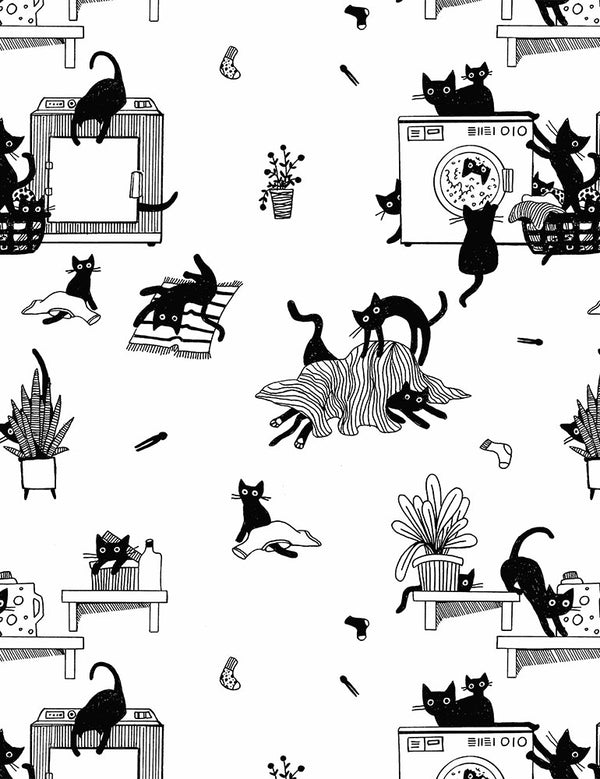Les Chats Noir Les Chats Noir in White by Leezaworks