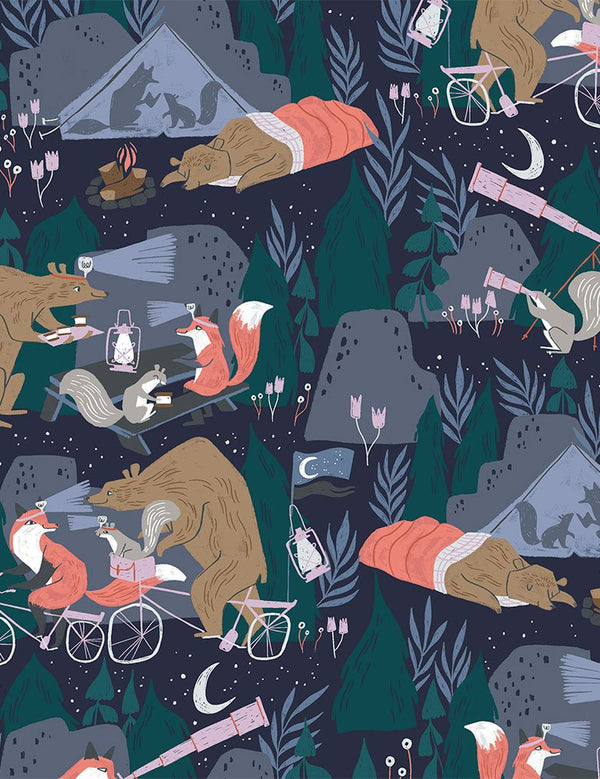 Night Ride Camping in Blueberry by Rae Ritchie
