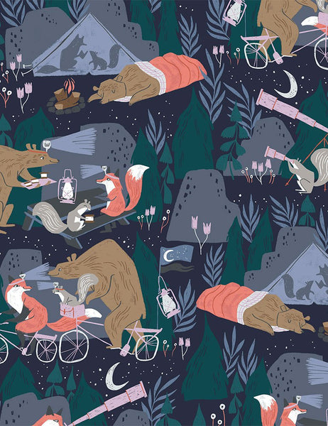 Night Ride Camping in Blueberry by Rae Ritchie