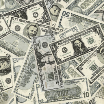 Show Me the Money by Timeless Treasures