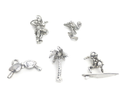 Silver Charms Beach Pack