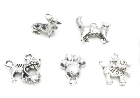 Silver Charms Pet Pack