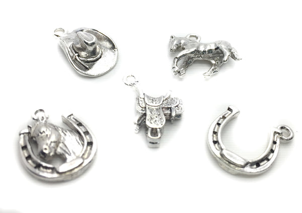 Silver Charms Western Pack