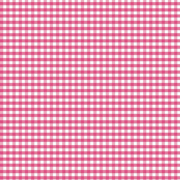 Small Gingham in Hot Pink by Riley Blake