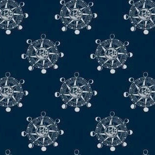 Aweigh North Star Compass in Bluesteel