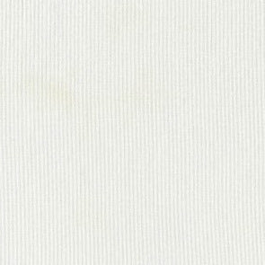 Sunburst Stripe Dove by Dear Stella