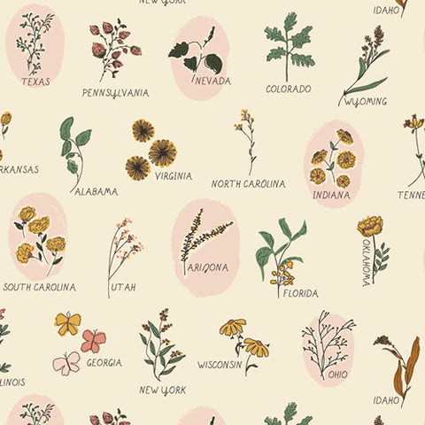 The Open Road Roadside Wildflowers in Cream by Bonnie Christine TOR-13862