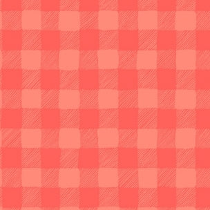 Trail Mix Gingham in Coral by Dear Stella